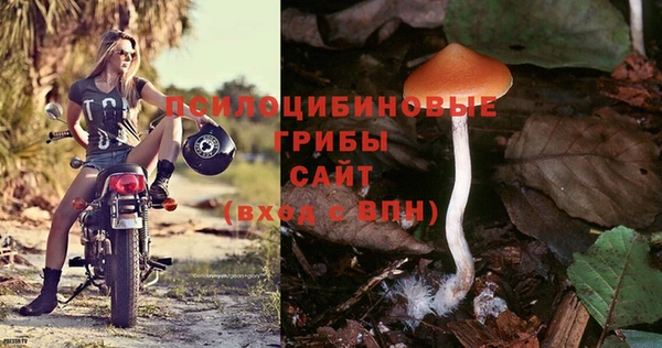 дживик Михайловка