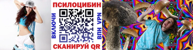 kraken как войти  цена   Суоярви  Галлюциногенные грибы Cubensis 